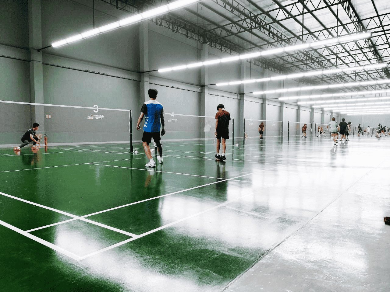 สนามแบดมาตรฐาน 12 คอร์ท