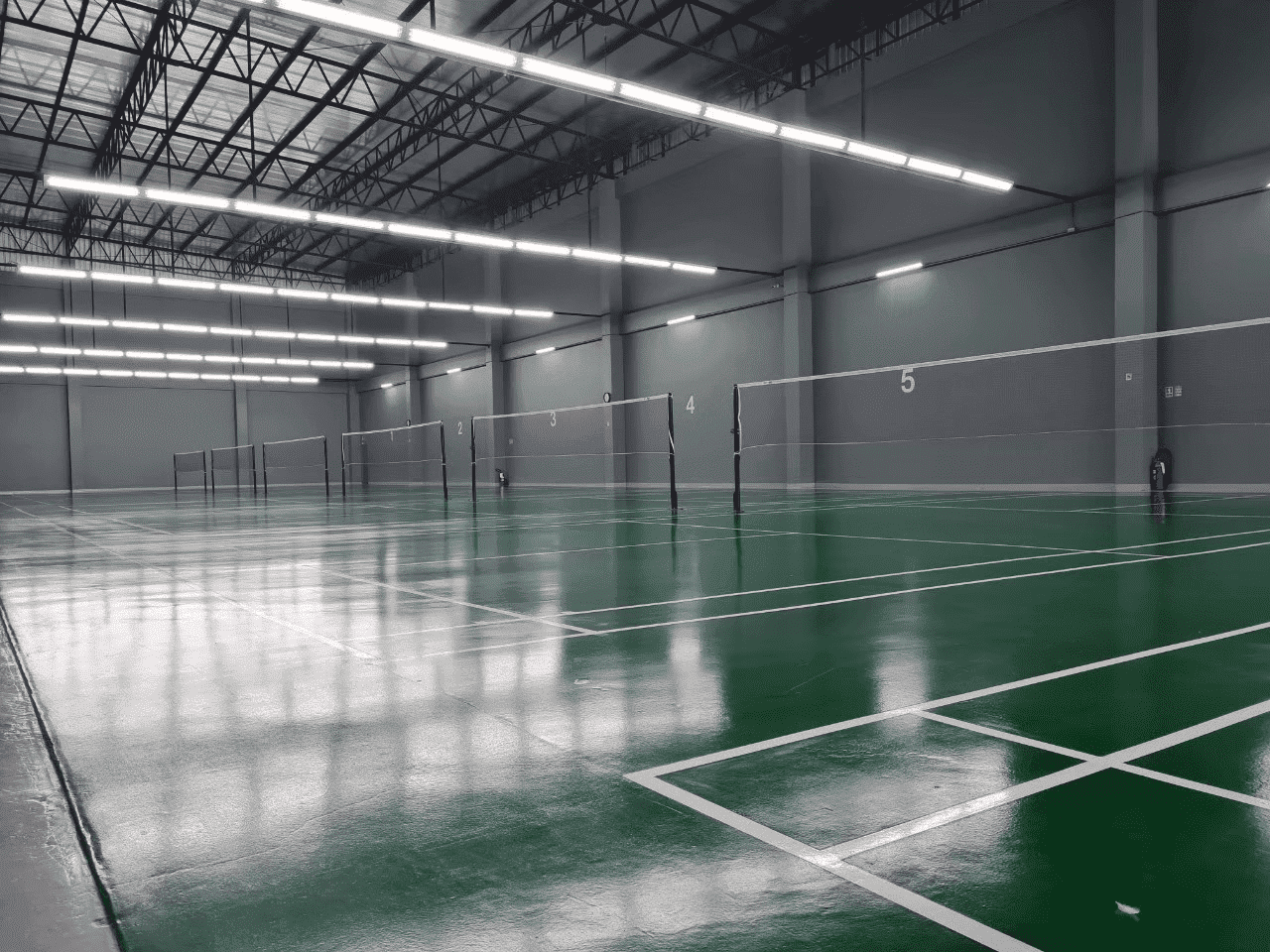 สนามแบดมาตรฐาน 12 คอร์ท